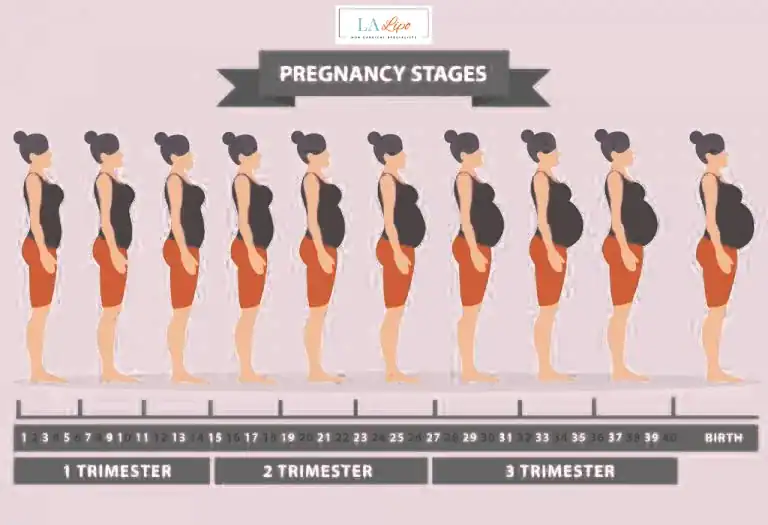 First Trimester (Weeks 1–12): Early Changes You Might Not Notice St Helens